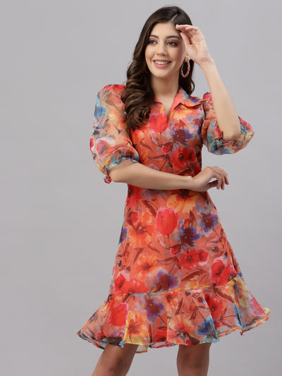 Women Multi Colour Dress